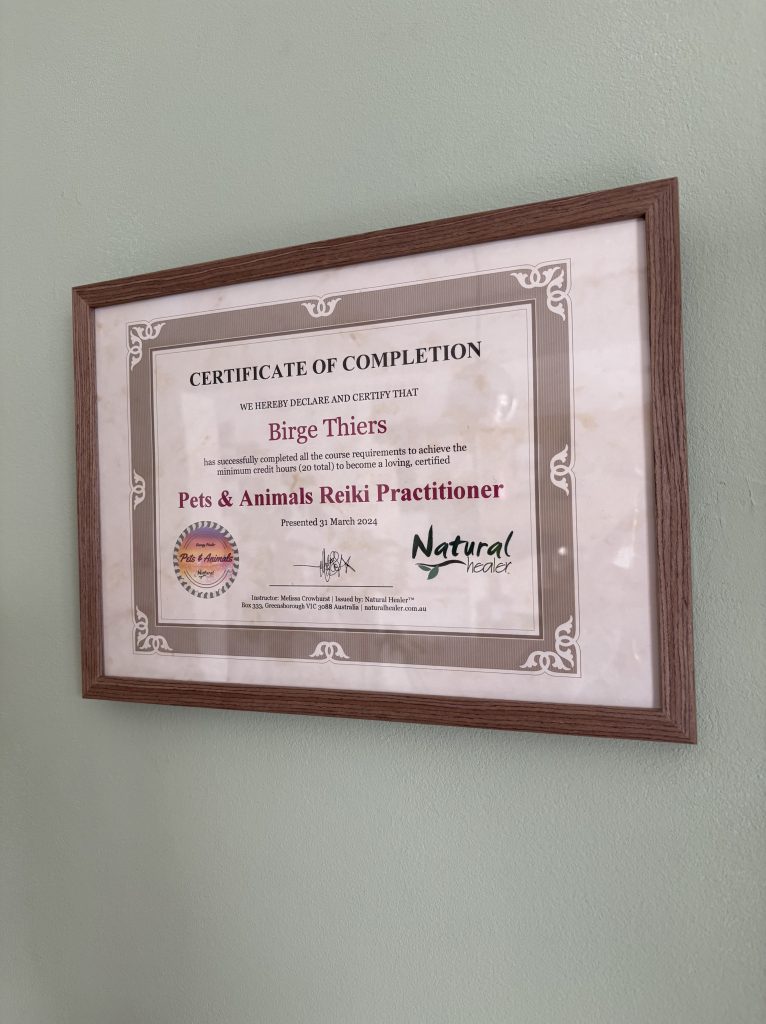 Birge Thiers – Reiki & Energiearbeit